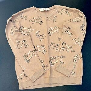 H&M Soft Pink Knit Sweater